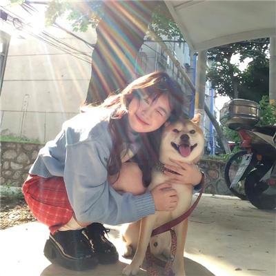 山河烬将女归途